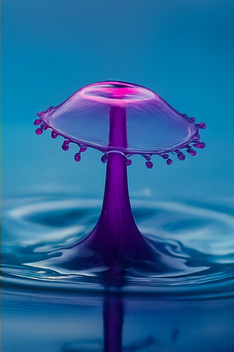 새로운 탐험이 기다립니다